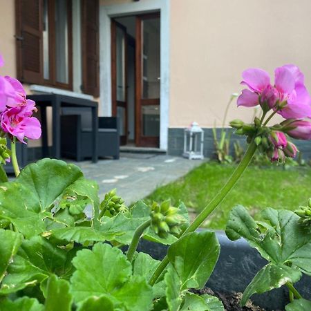 Peonia Apartment - Appartamento Vista Lago Lezzeno Zewnętrze zdjęcie