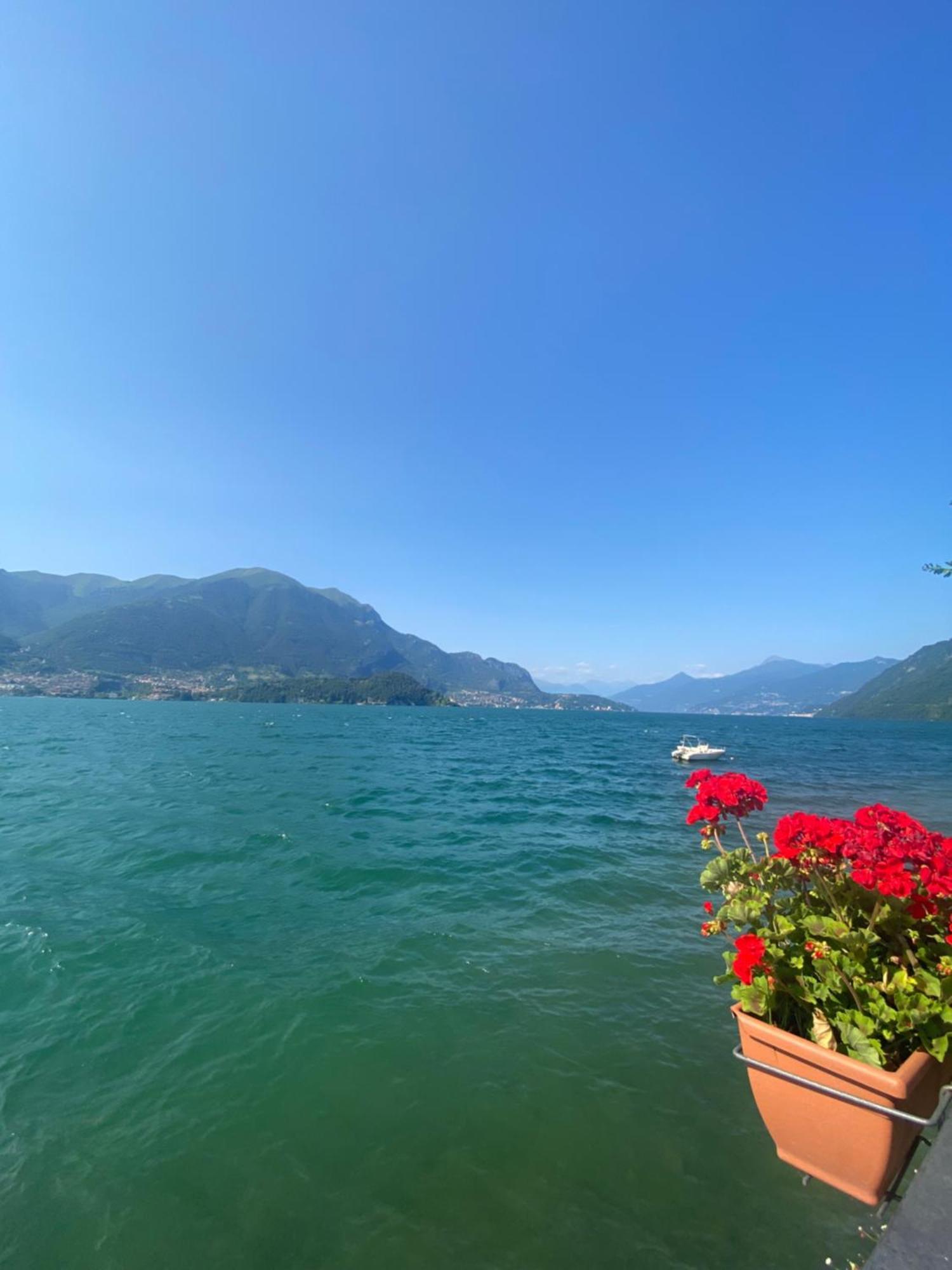 Peonia Apartment - Appartamento Vista Lago Lezzeno Zewnętrze zdjęcie