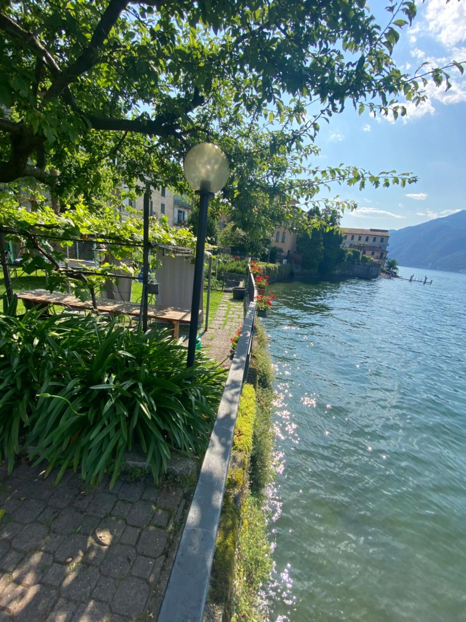 Peonia Apartment - Appartamento Vista Lago Lezzeno Zewnętrze zdjęcie
