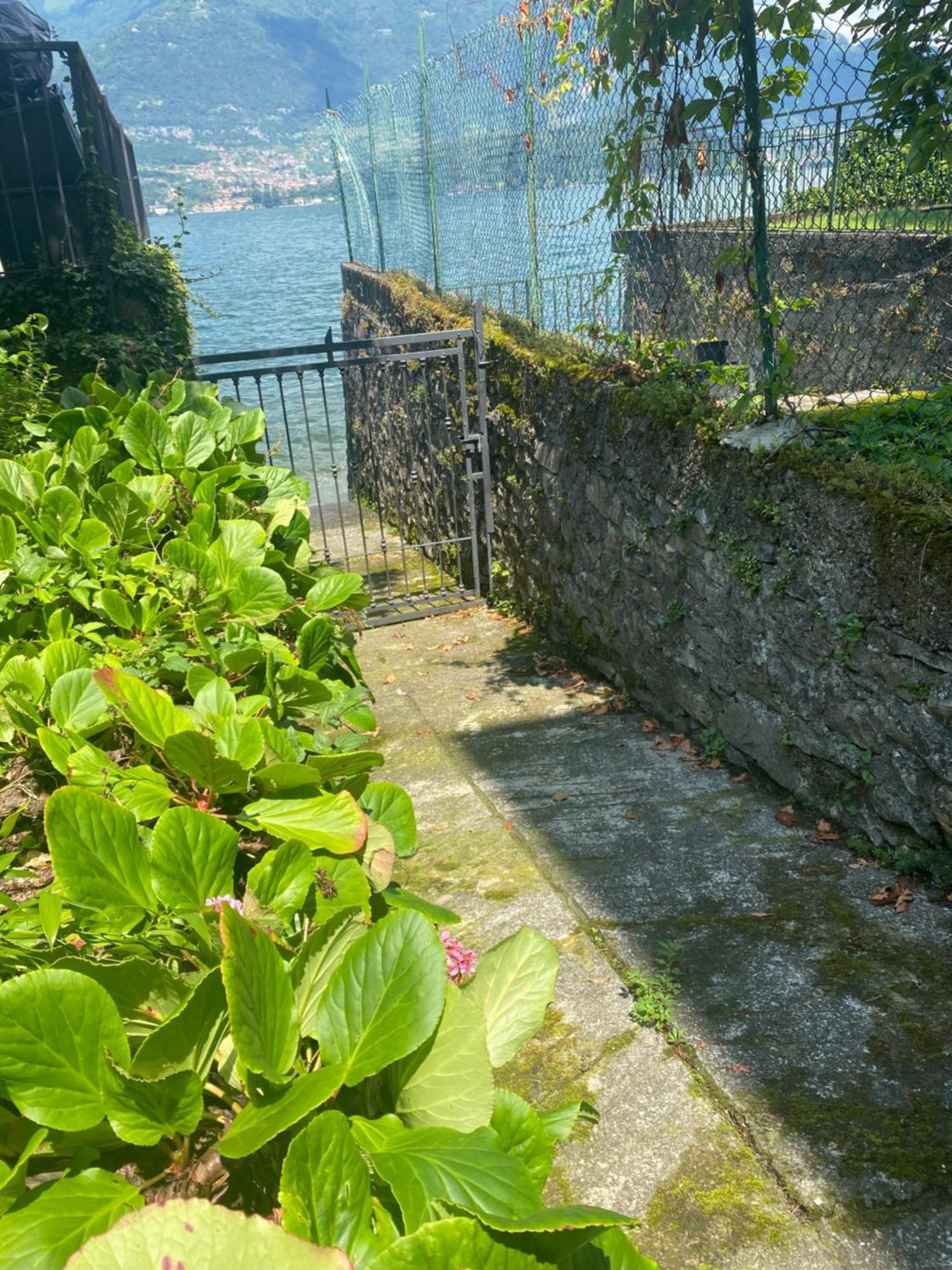 Peonia Apartment - Appartamento Vista Lago Lezzeno Zewnętrze zdjęcie