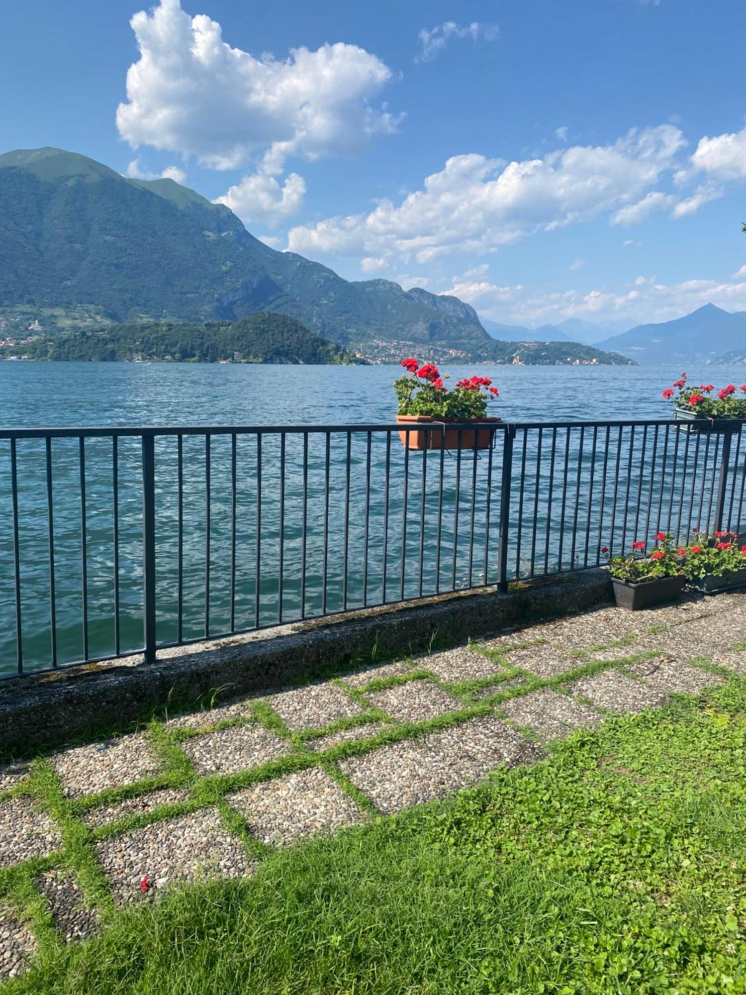 Peonia Apartment - Appartamento Vista Lago Lezzeno Zewnętrze zdjęcie