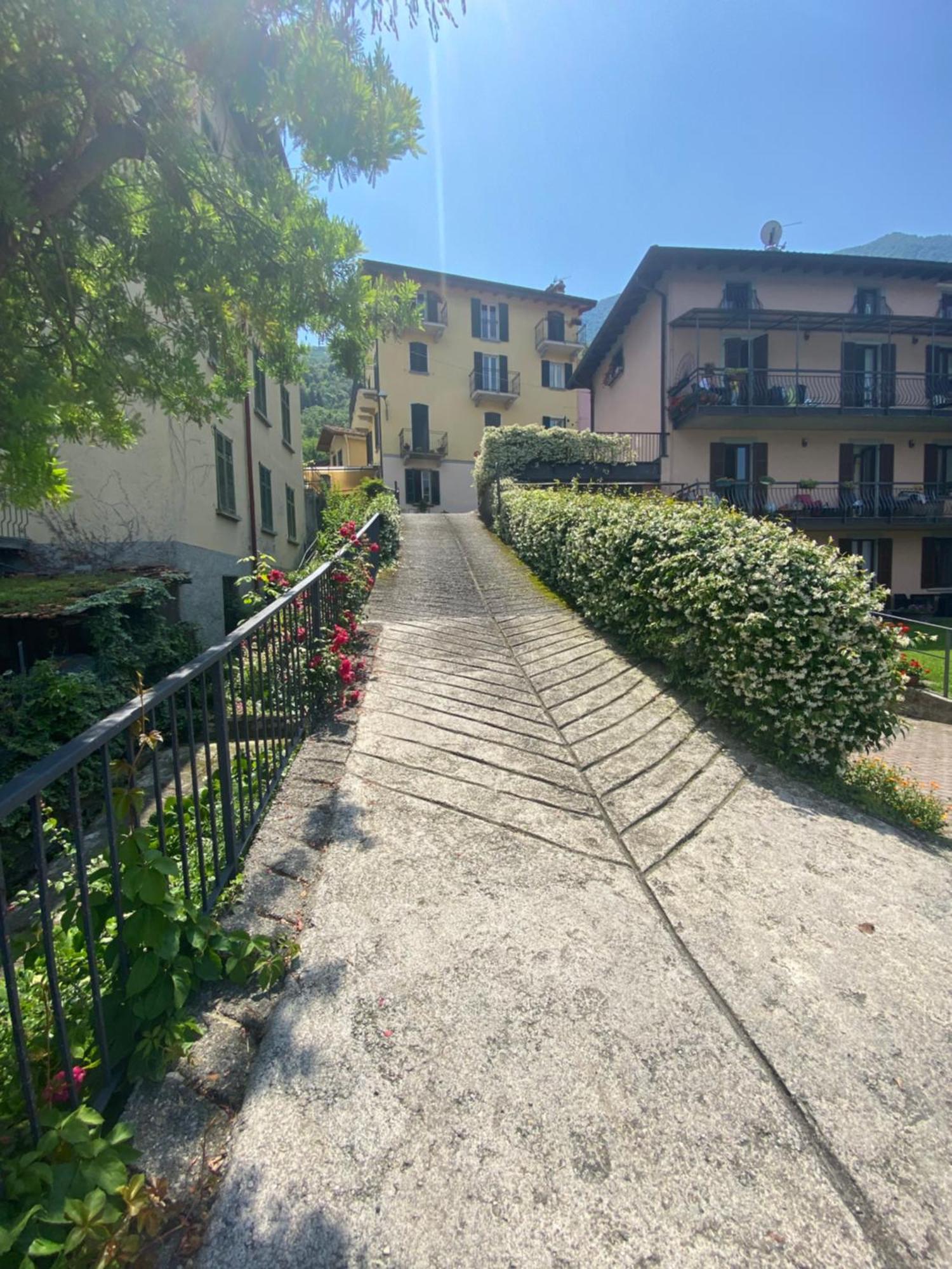 Peonia Apartment - Appartamento Vista Lago Lezzeno Zewnętrze zdjęcie