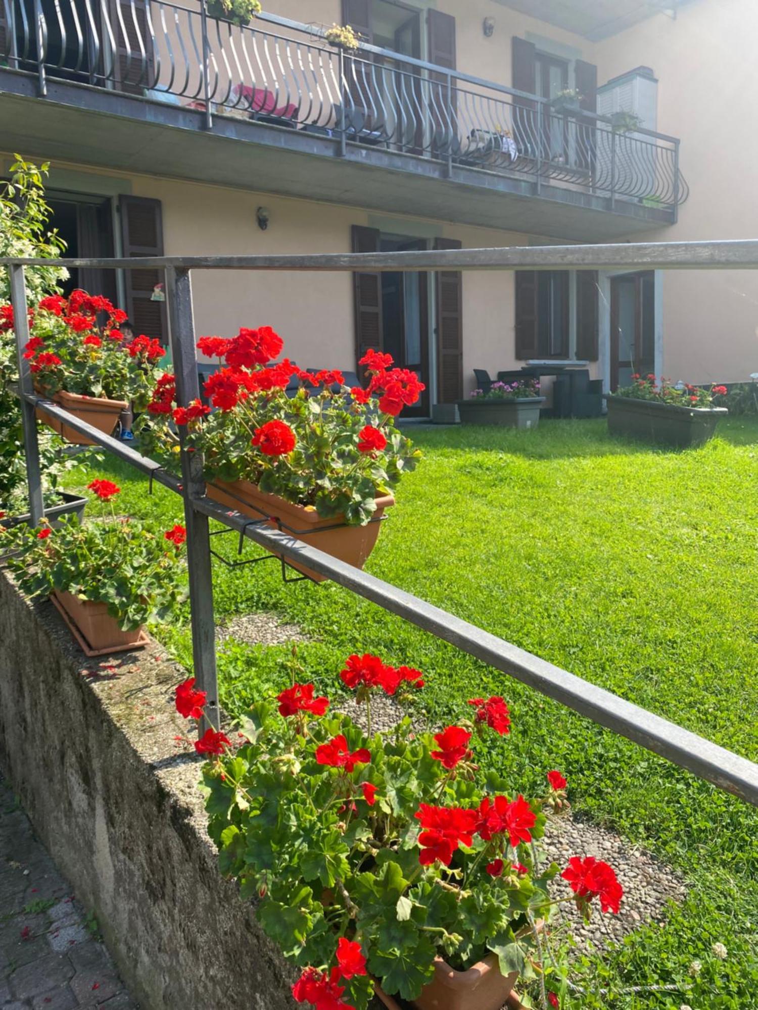 Peonia Apartment - Appartamento Vista Lago Lezzeno Zewnętrze zdjęcie