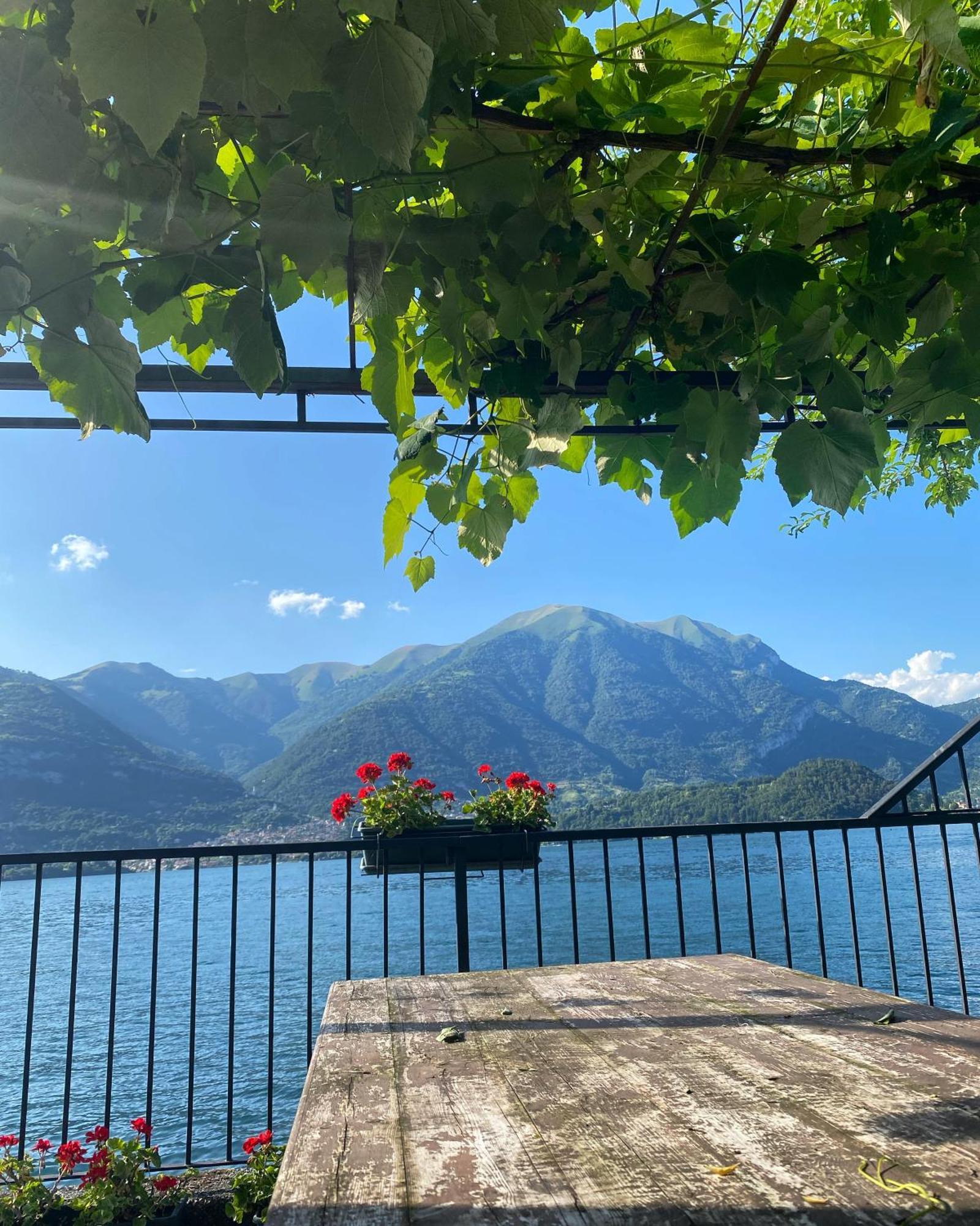 Peonia Apartment - Appartamento Vista Lago Lezzeno Zewnętrze zdjęcie