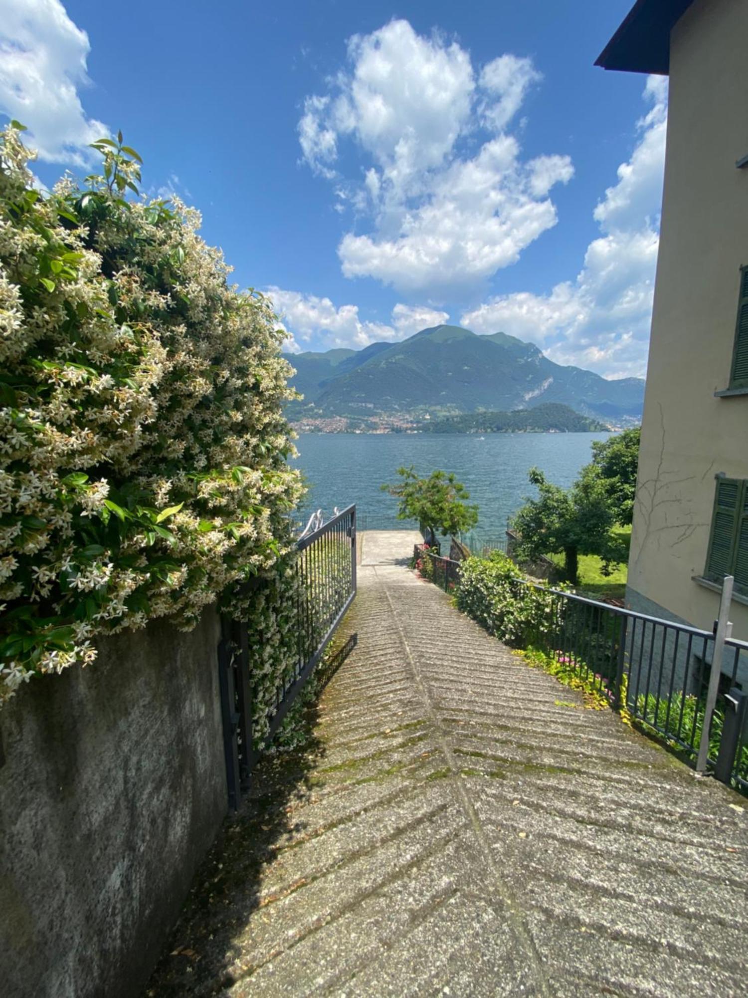 Peonia Apartment - Appartamento Vista Lago Lezzeno Zewnętrze zdjęcie