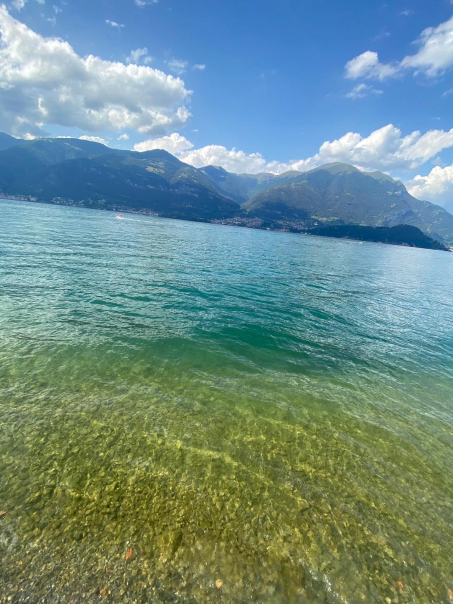 Peonia Apartment - Appartamento Vista Lago Lezzeno Zewnętrze zdjęcie