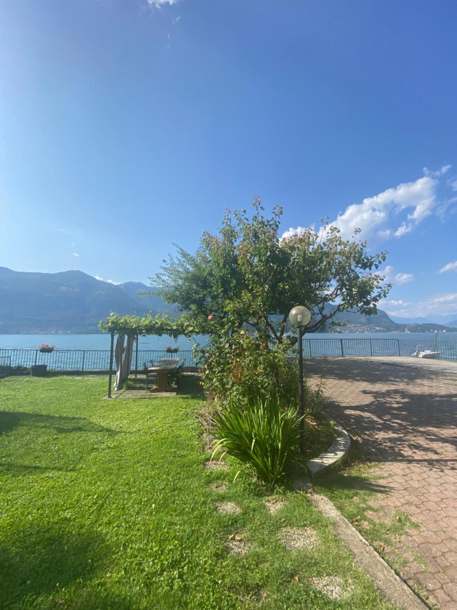 Peonia Apartment - Appartamento Vista Lago Lezzeno Zewnętrze zdjęcie