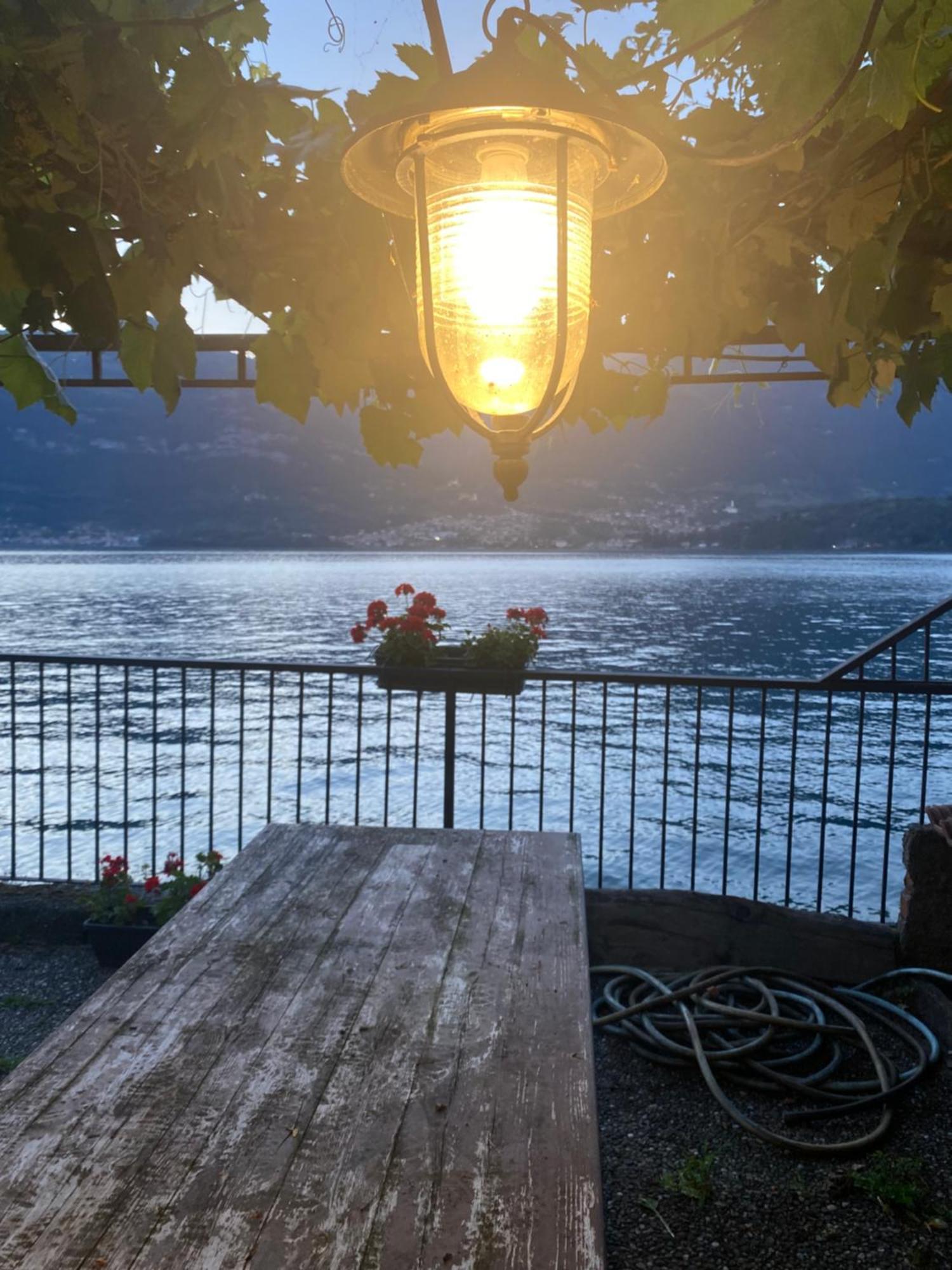 Peonia Apartment - Appartamento Vista Lago Lezzeno Zewnętrze zdjęcie