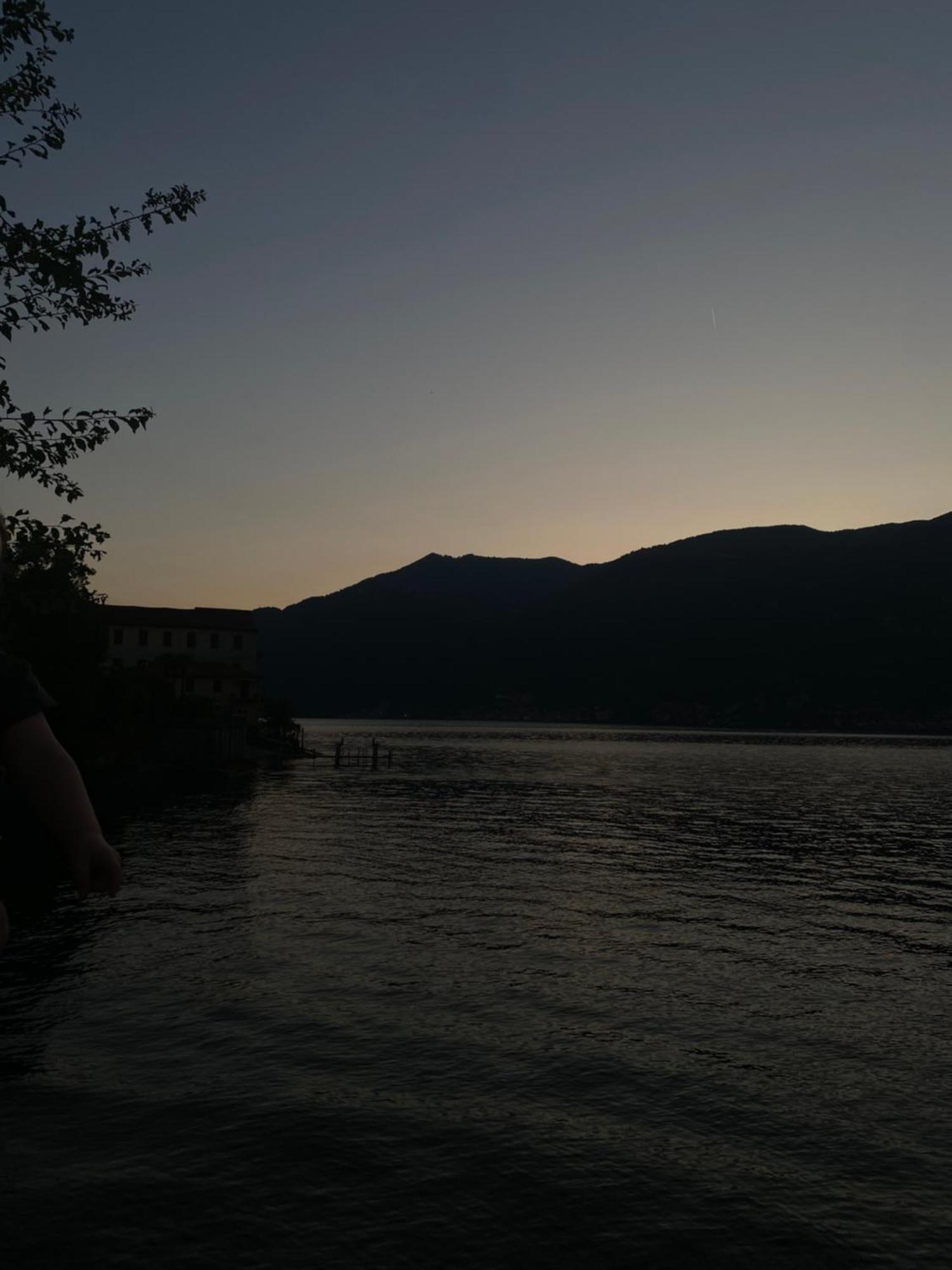 Peonia Apartment - Appartamento Vista Lago Lezzeno Zewnętrze zdjęcie
