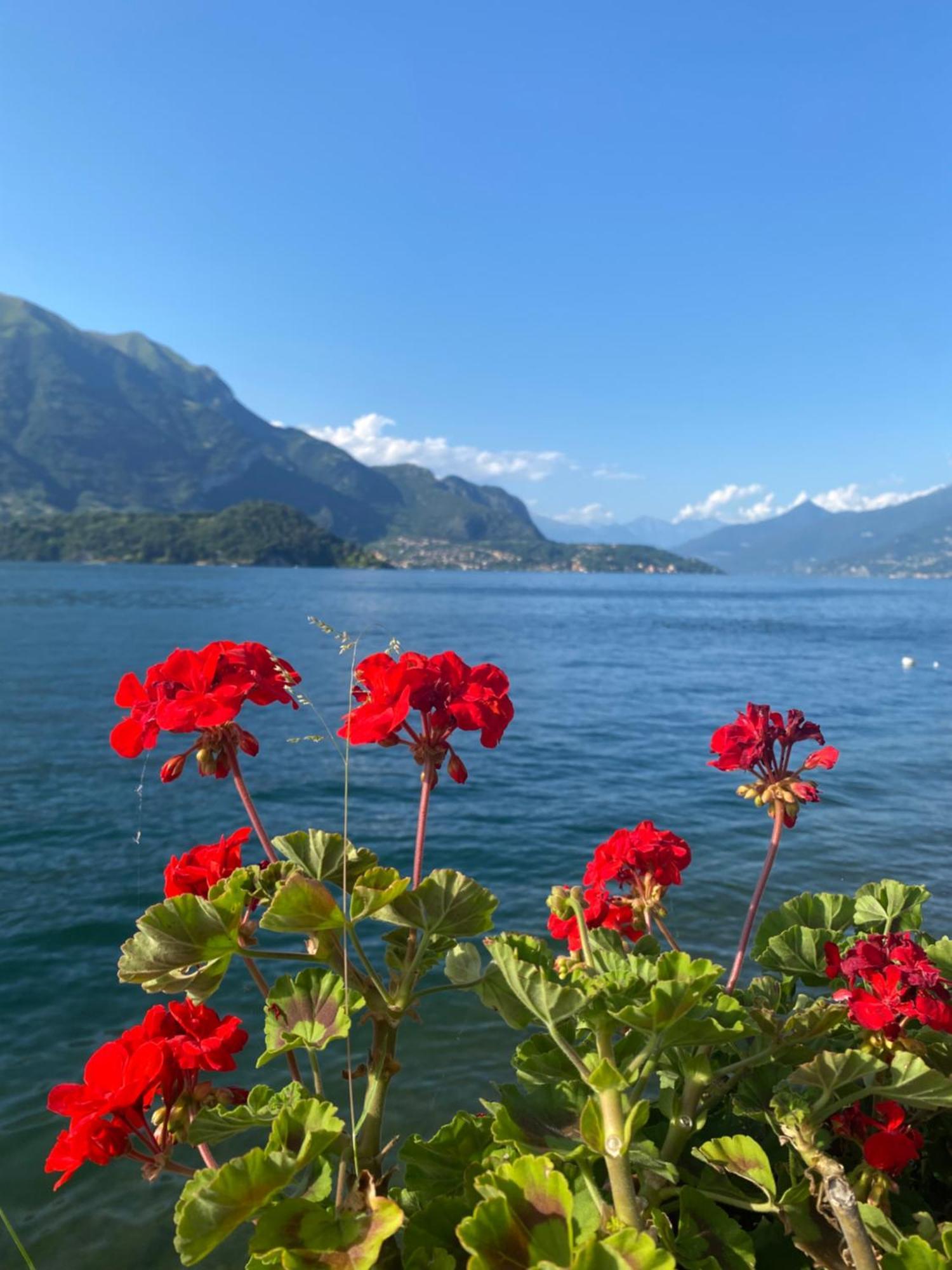 Peonia Apartment - Appartamento Vista Lago Lezzeno Zewnętrze zdjęcie