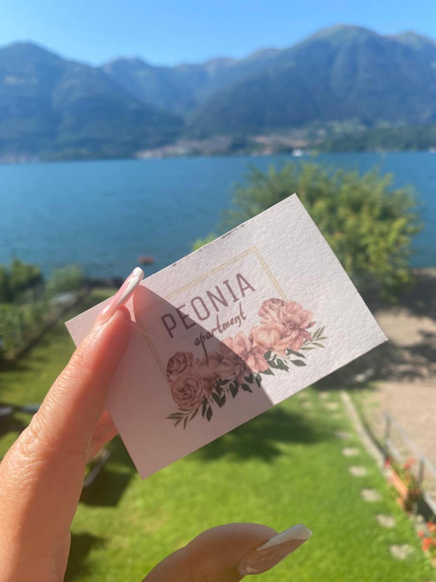 Peonia Apartment - Appartamento Vista Lago Lezzeno Zewnętrze zdjęcie