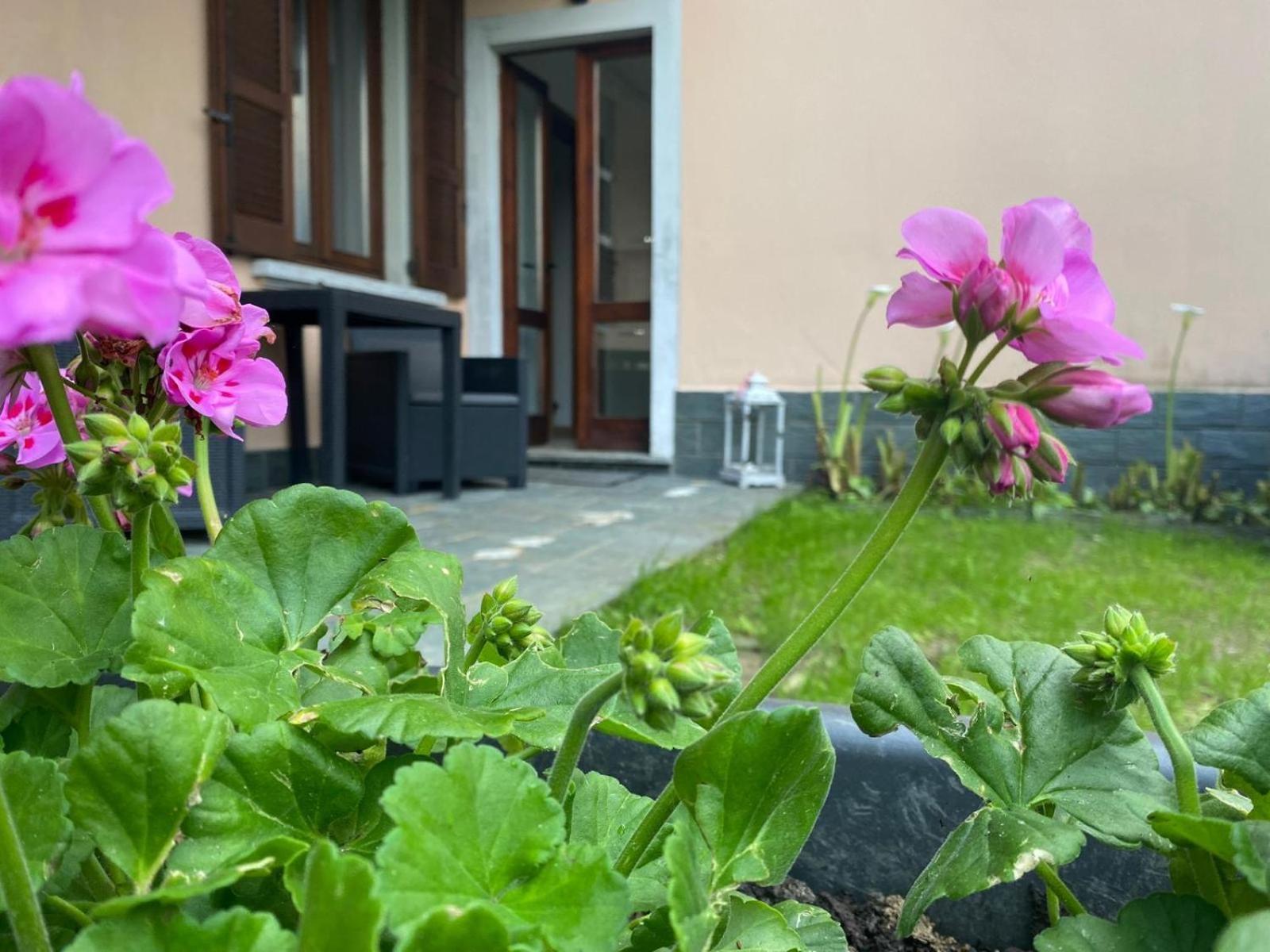 Peonia Apartment - Appartamento Vista Lago Lezzeno Zewnętrze zdjęcie